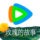 韩国scalar